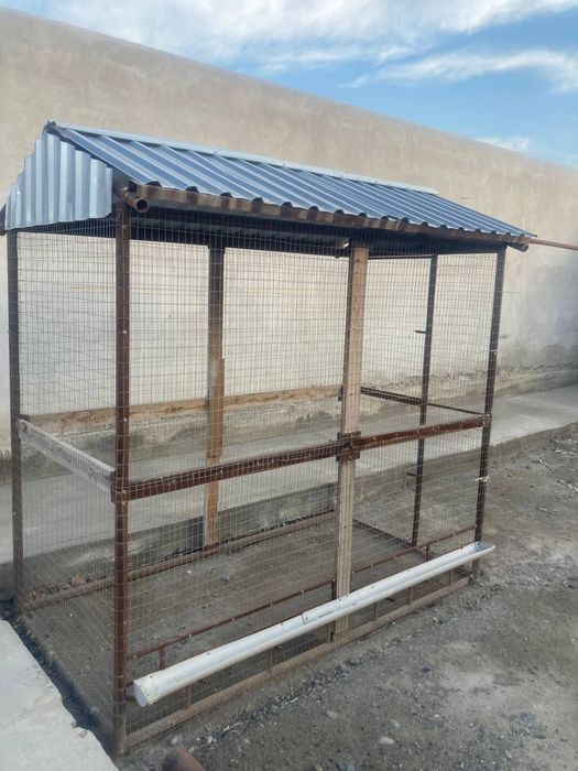 Tovuq uchun katakxona