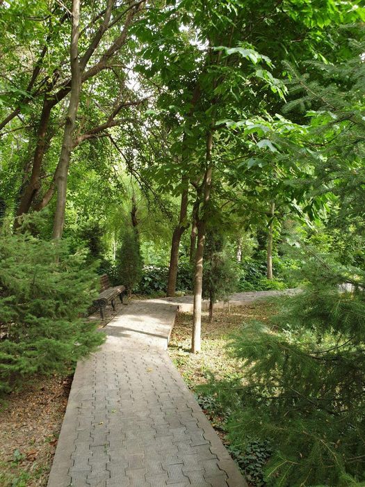 Летняя резиденция в Чингельды 1,23 ГА