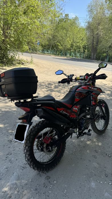 Ular b1 на учете