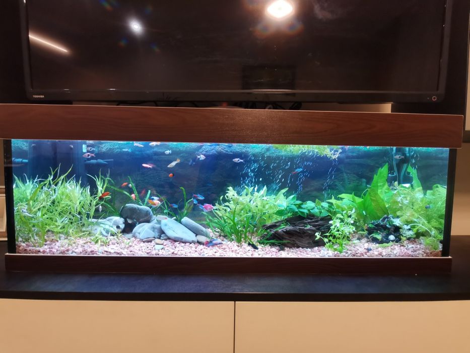 Аквариум 100литра +