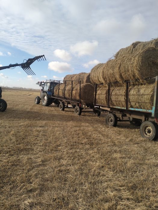 Продам луговое сено в рулонах