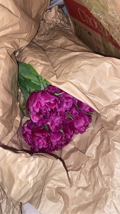 Свежие тюльпаны по 300