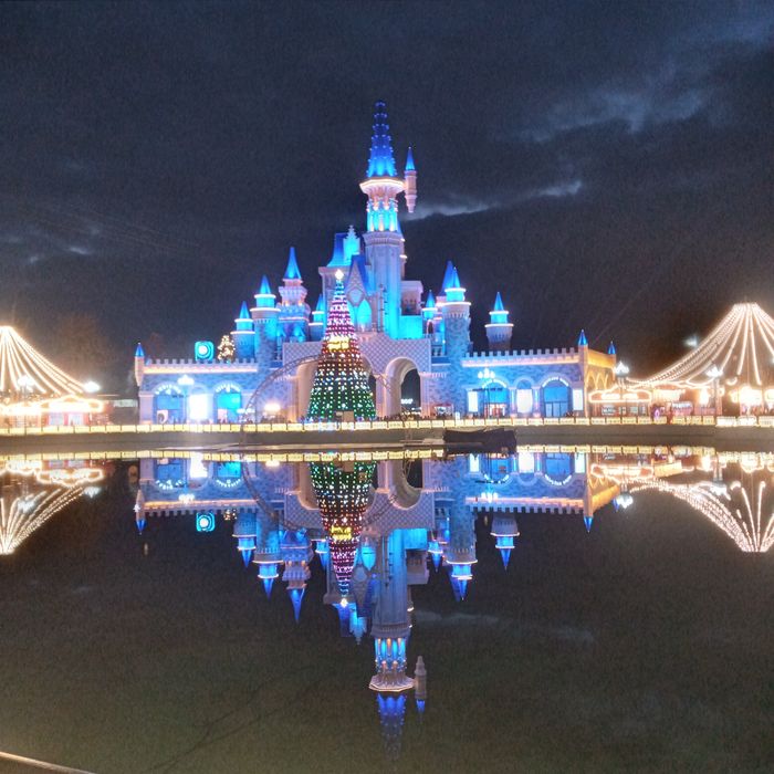 Срочно 40 соток Уй сотилади! ДОМ ПРОДАЁТСЯ  40 соток!