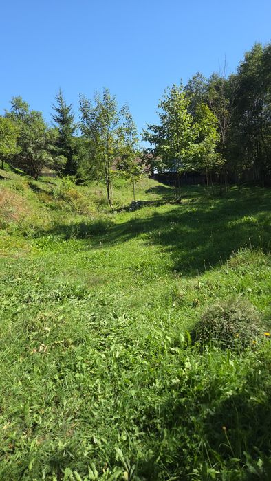 Teren intravilan