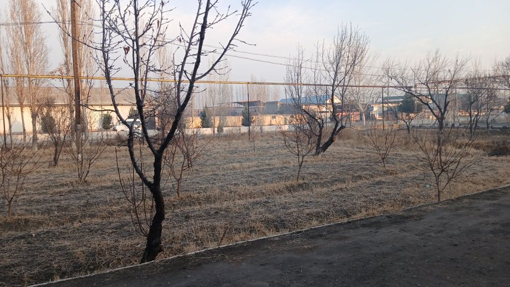 Yer ijaraga beriladi va shartnoma asosida boʻladi