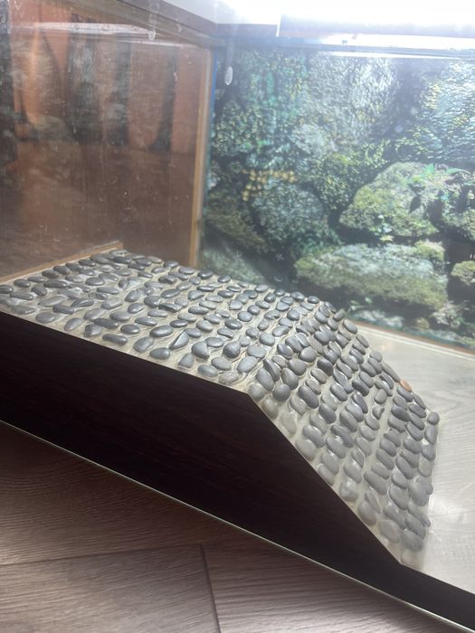 Акватеррариум для водных черепах