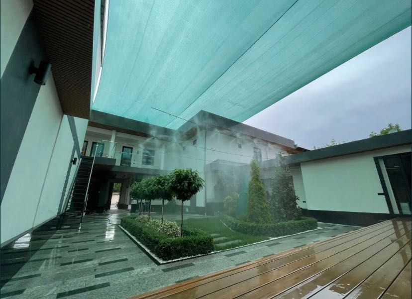 Посевной рулонный газон