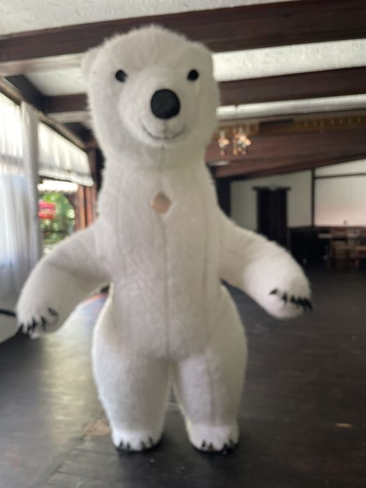 Костюм бяло мечка