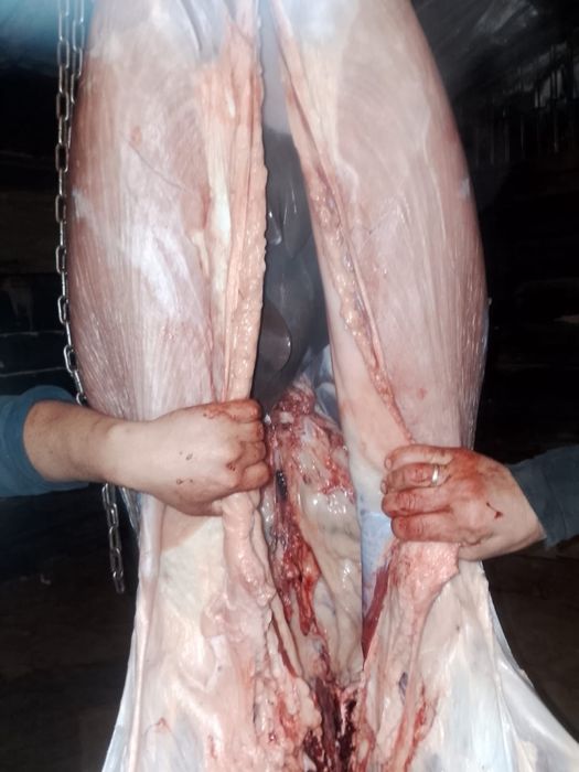 БАЙТАЛ сатылады!