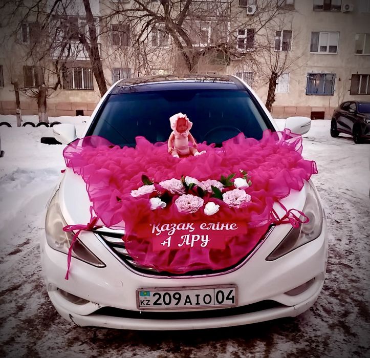 Оформление Выписка  машина мальчик и девочка