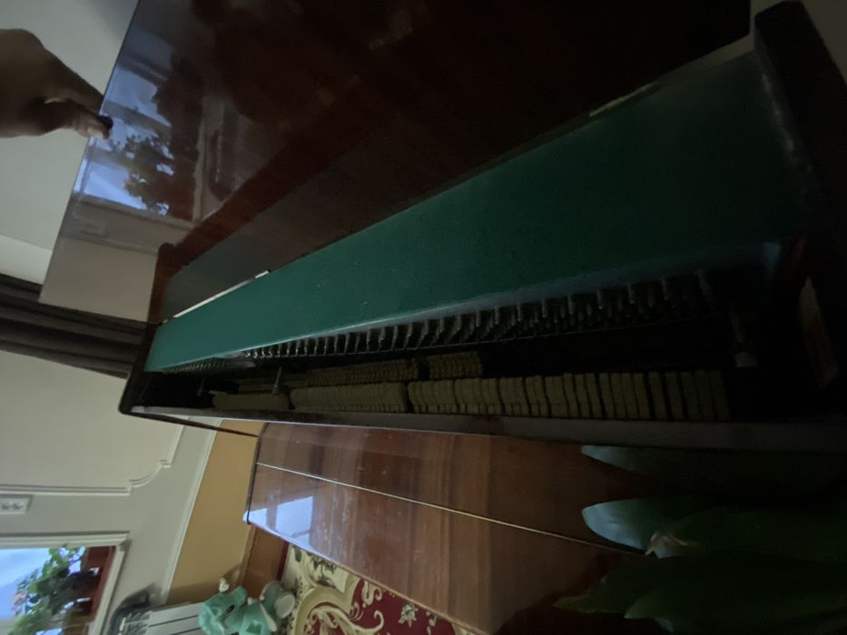 Belarus. xolati yaxshi tutilgan