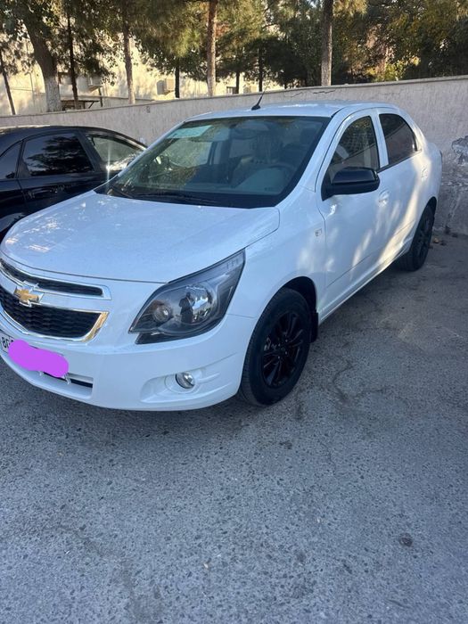 Kobalt msm midnayt koja salon