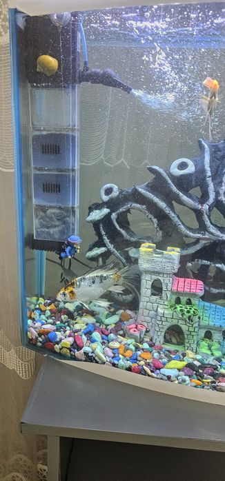 Продаётся аквариум с мирным рыбками на 110 литров
