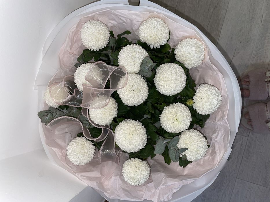 Гул сатылады Момоко