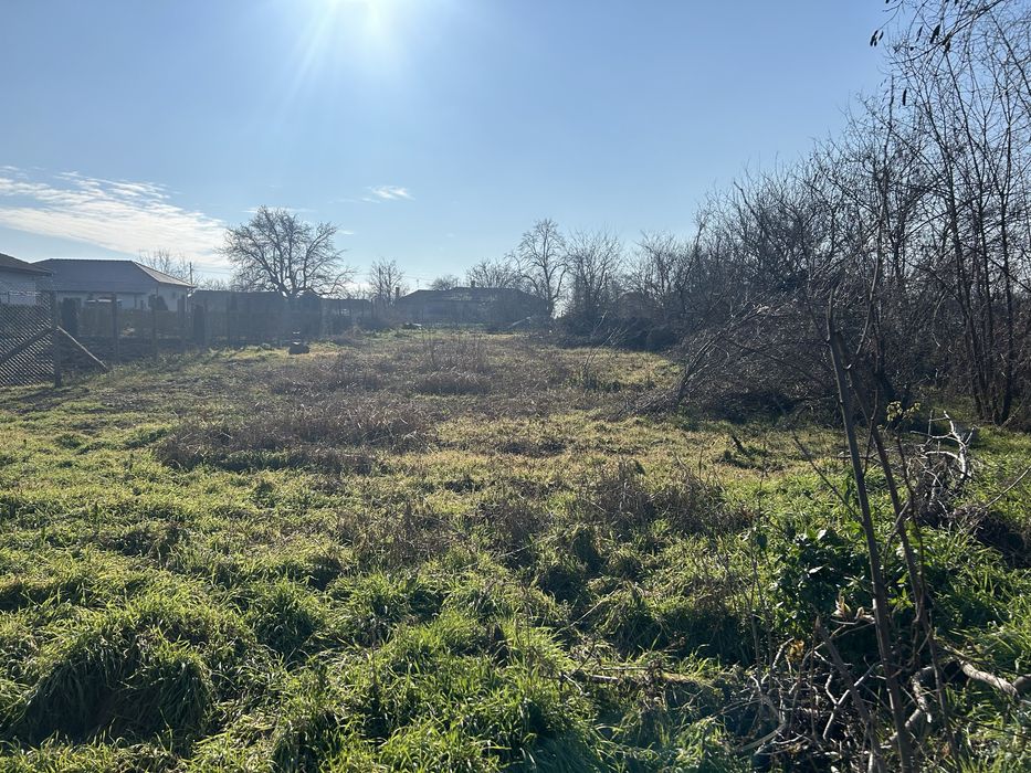 Продава се Парцел в с. Калипетрово, Област Силистра - 1000 кв.м за 12 €/кв.м - Снимка #1