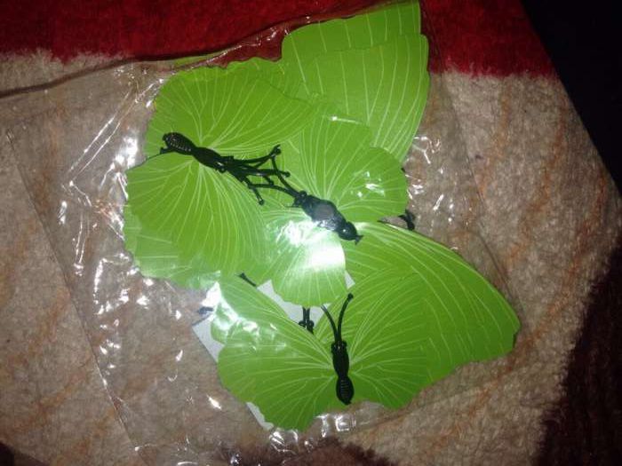 Fluturi decorativi 3D,verde-lime