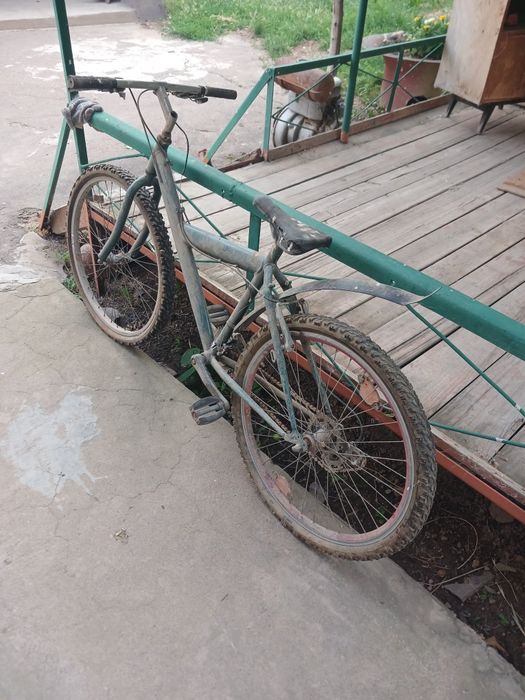 Велик зелёный находу