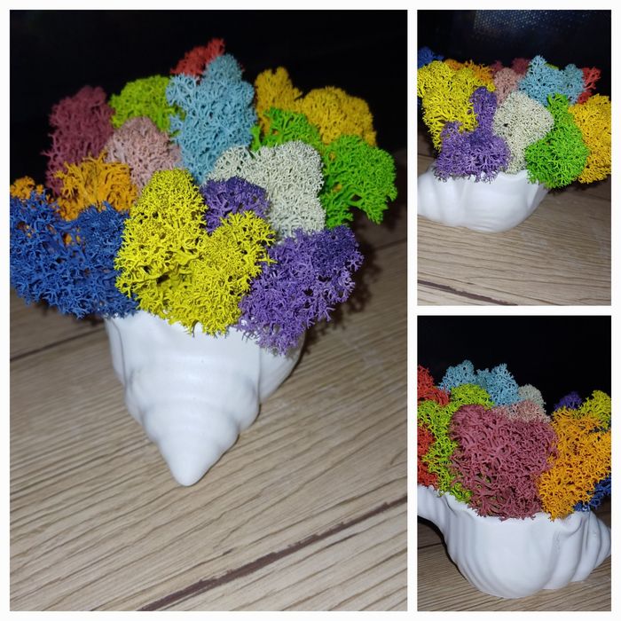 Кашпи със скандинавски мъх