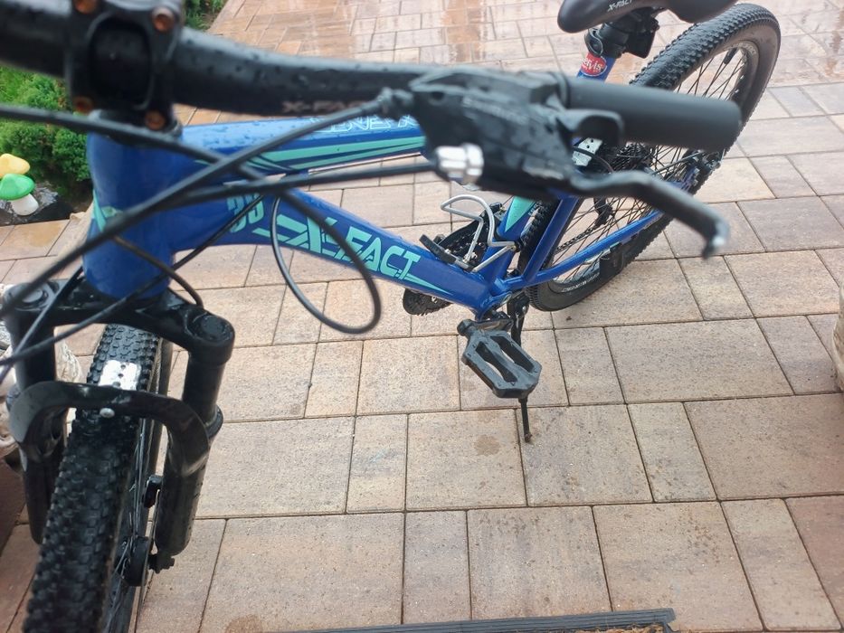 Bicicleta X - Fact