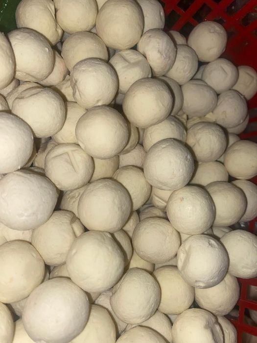 Курт , қолдың майы мен құрты Алматы