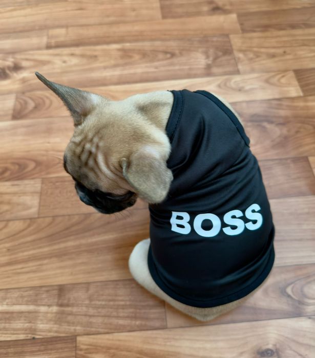 Продаётся французский бульдог