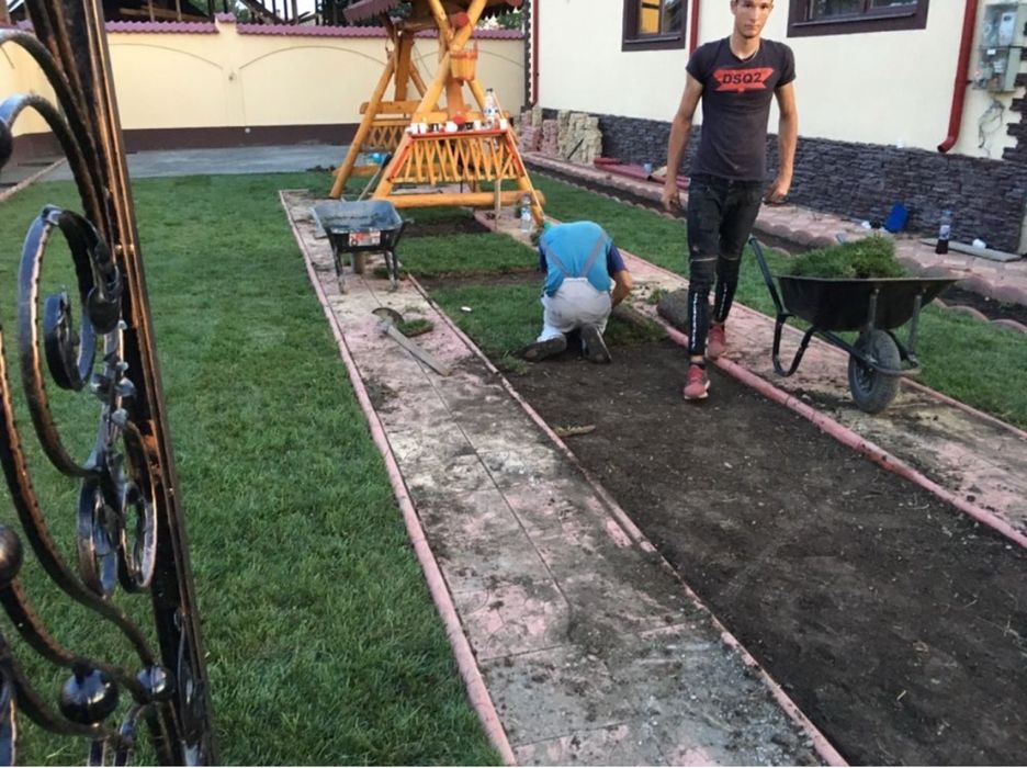 Gazon Rulou / Spatii Verzi