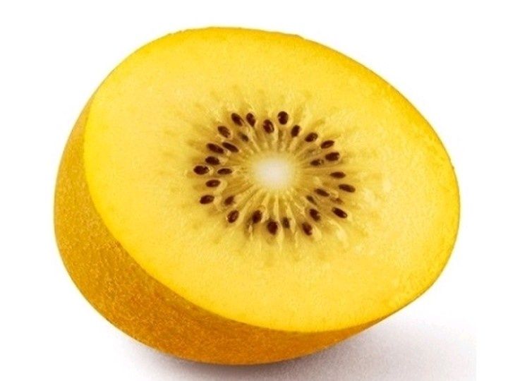 Ниски цени - дръвчета и растения