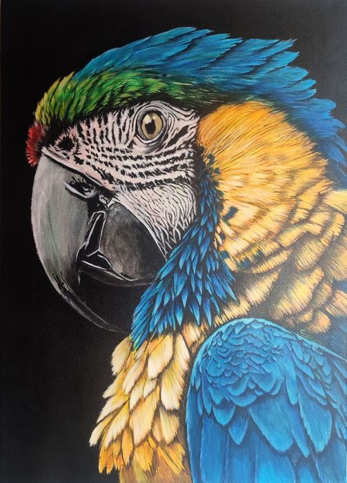 Tablou pictat - papagal ARA
Dimensiune 50x70 cm
Vernisat
V