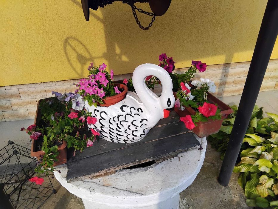 Vand decor ghiveci lebada