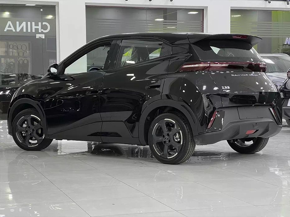 Byd Seаgull Бйд Сигл