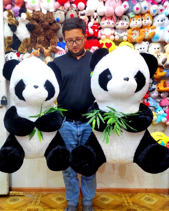 Teddi teddy ayiq miyahki original