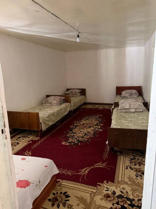 Tozza ozoda dacha
