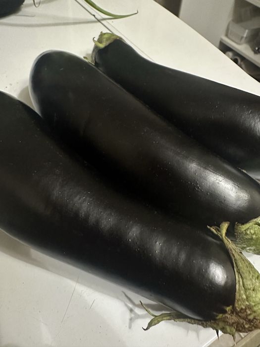 Баклажаны  свежие  продам