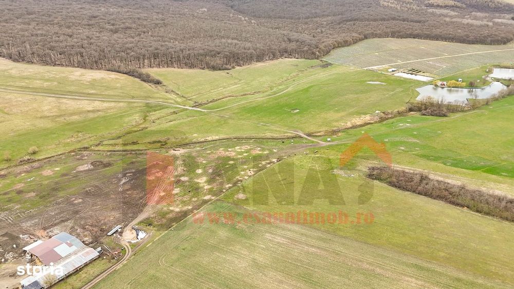 Teren premium  – 20.000 mp | Sura Mica | Locatie exceptionala |VIDEO