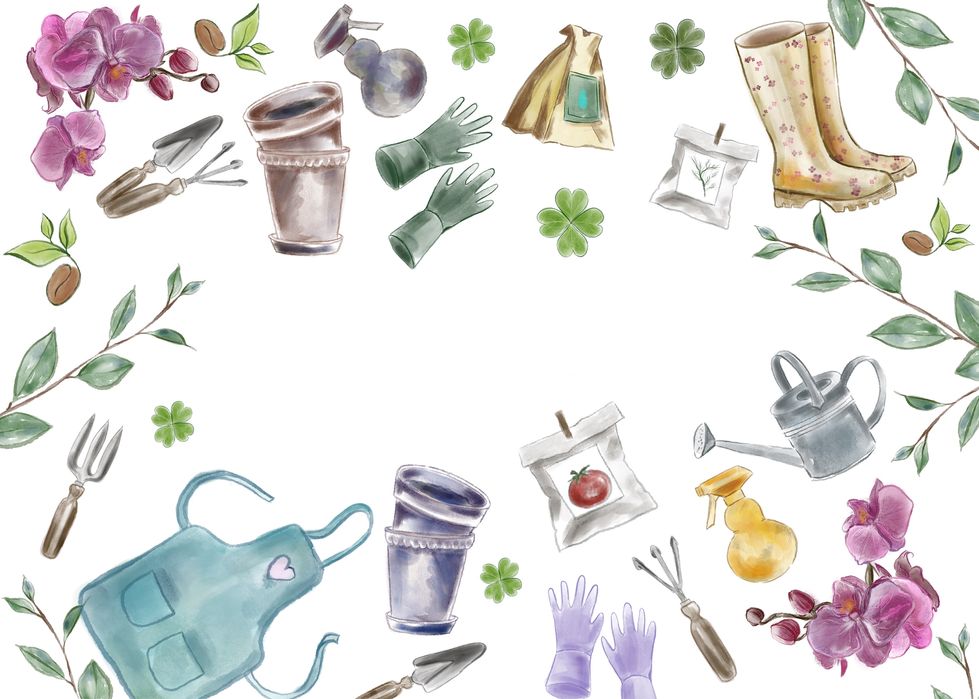 Уроки цифрового рисования(на iPad)