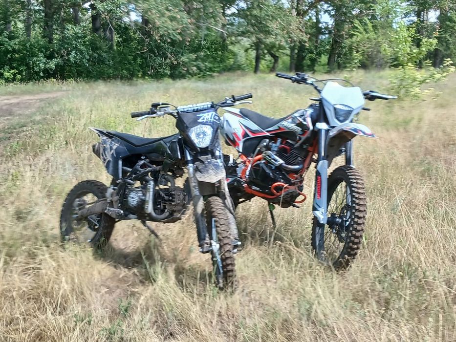 Продам progasi palma 300
