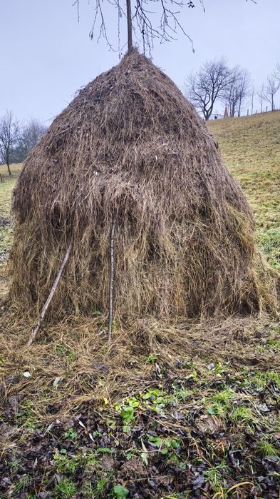 Vând 2 clăi de fan vrag!