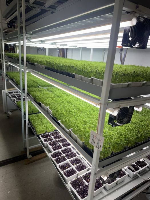 Sistem Microplante Hy Farm