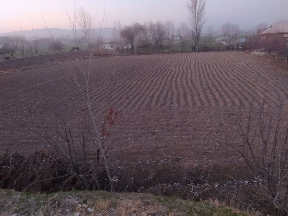 Surxandaryo viloyati  Qumqorgon tuman Ariqoshgan MFY  uy  oshxona yeri