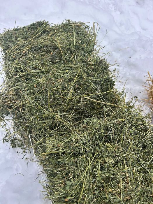 Vand baloti de paie si lucerna