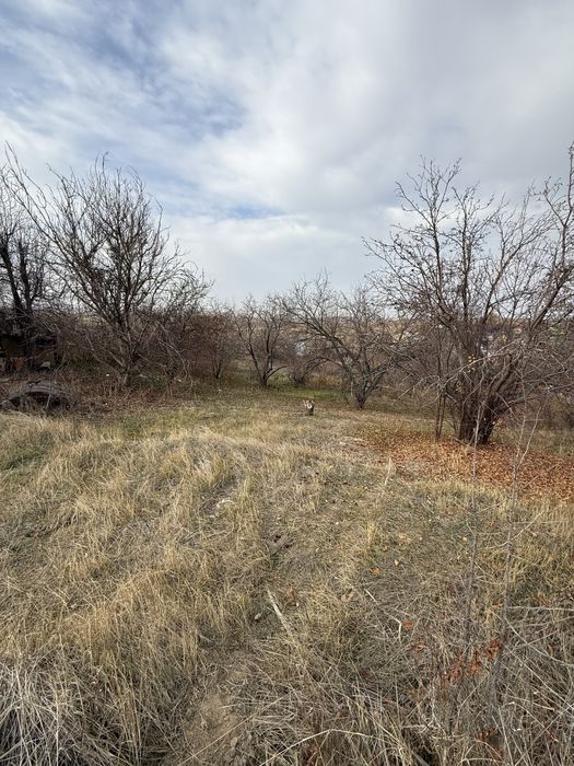 Участок 6 соток турар