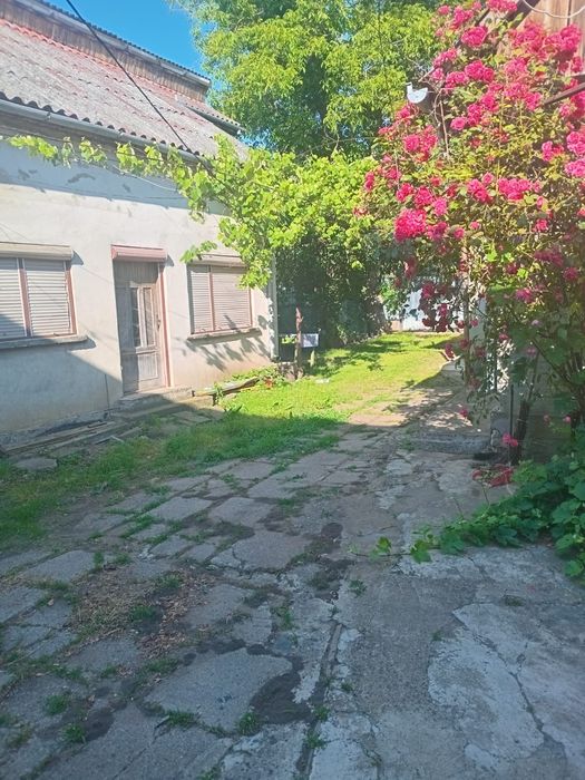 Casa de vânzare Gilau Feser