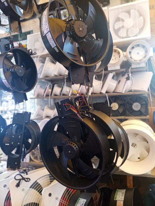 Quloq ventilyator Xitoy