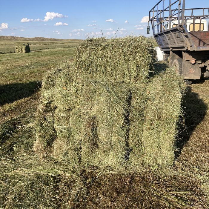 сено тюк и рулон