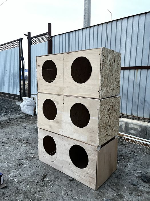 Брудер гниздо дамашный птица