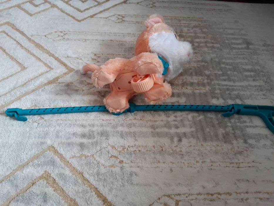 Pisica companie cu roti si lesa