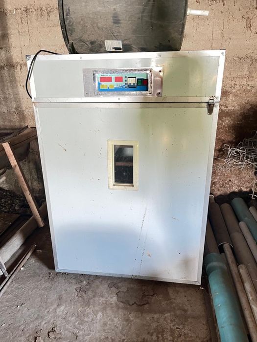 Инкубатор рабочий