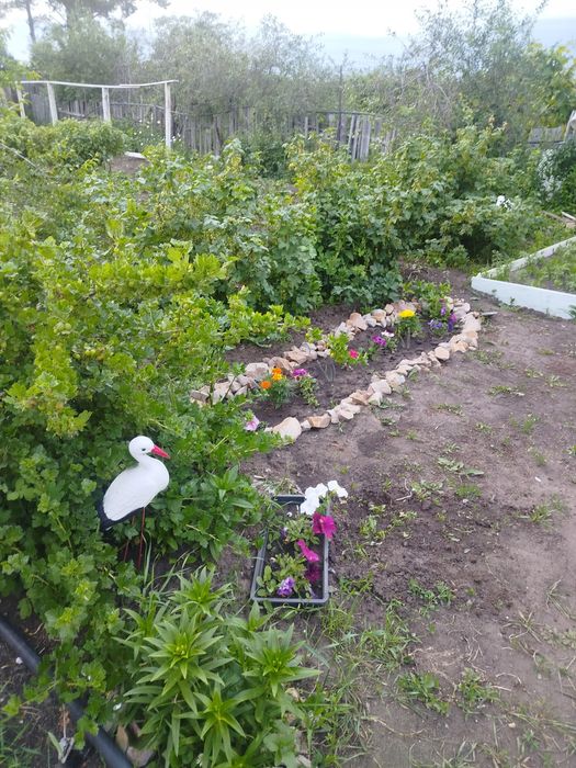 Дача, продам, пять соток