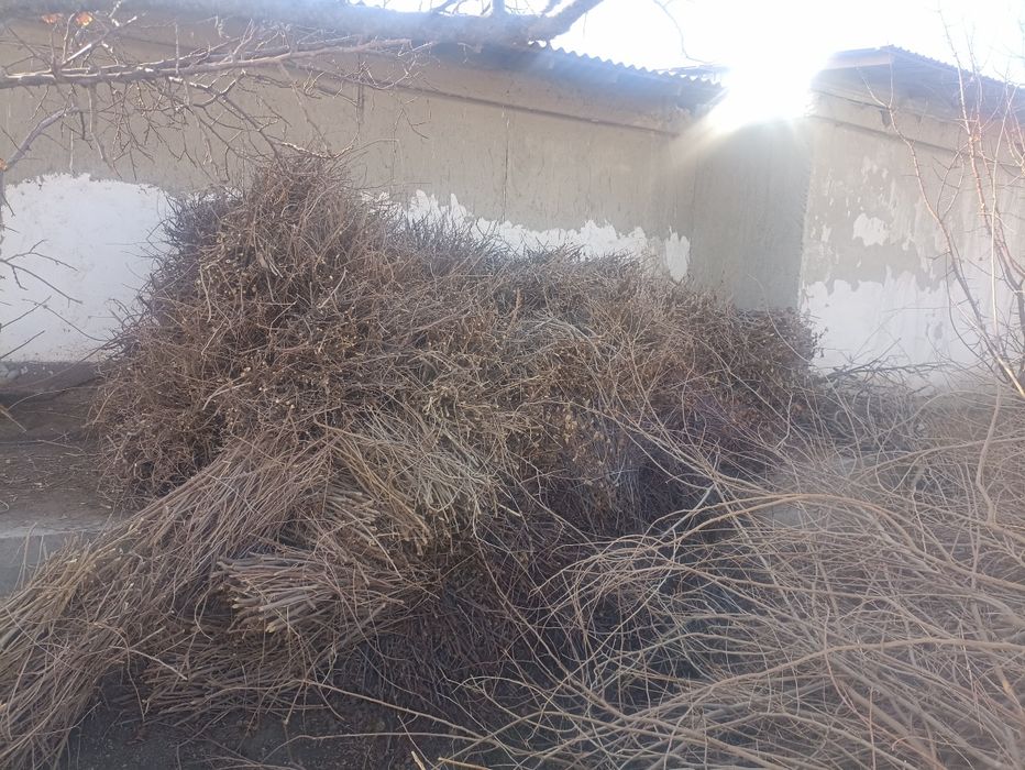 Утин самса ва нон пиширишга