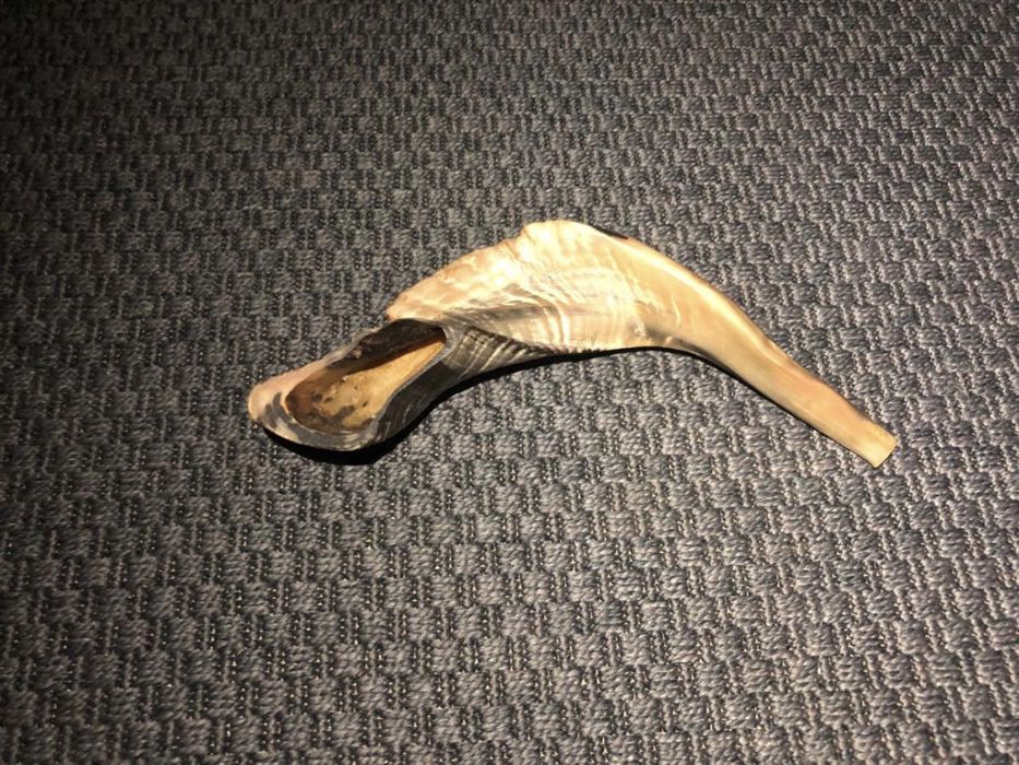 Vand Shofar- istrument de sunat